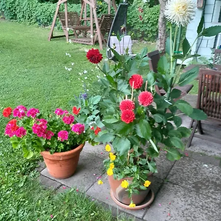 3 Ristimäenkatu Savonlinna