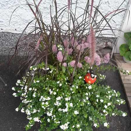 Huoneisto 3 Ristimaeenkatu * Savonlinna